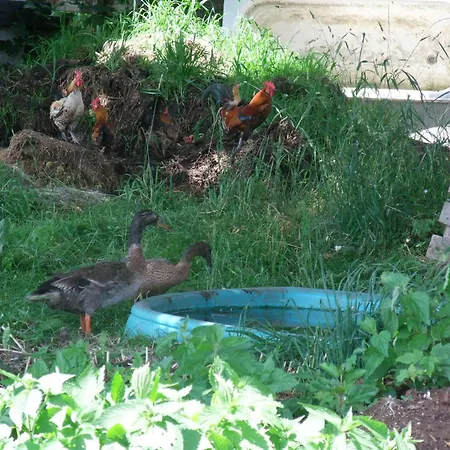 Knollhof Ramsau am Dachstein